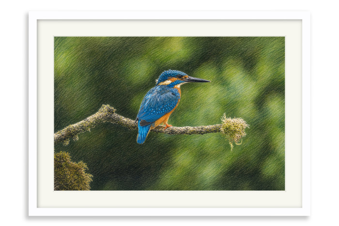 White Frame A5 - 14.8 x21 cm  (+£100.00)